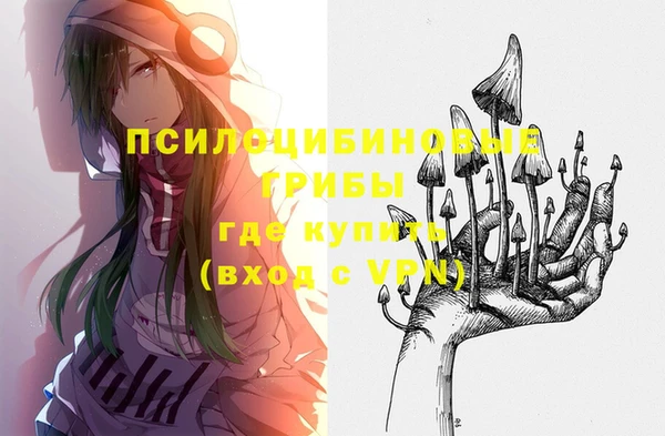 spice Беломорск