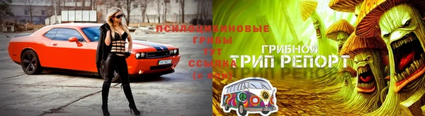 альфа пвп Надым